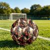 1pc Roses Horse Majesty Theme Soccer Ball Football, Size 5, Lightweight PVC, Durable Outdoor Training Soccer Ball, Gift M61466