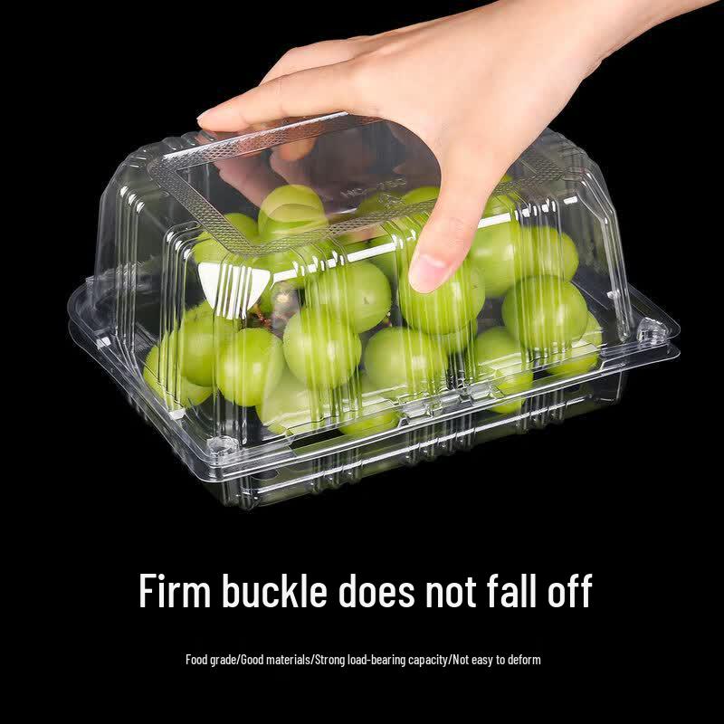 Disposable Clear Plastic Food Container with Lid