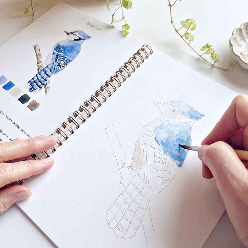Watercolor Workbooks, Beginner-Friendly Watercolor Workbooks, Art Crafts Painting Supplies, Water Color Book For Kids Adults