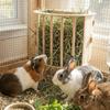 Built-in Hay Feeder Rack Wooden Ferret Hay Manger Practical Bunny Hay Feeder  Guinea Pig