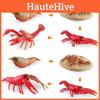 High-quality Crawfish Growth Cycle Model Sturdy Pvc Educational Animal Replica