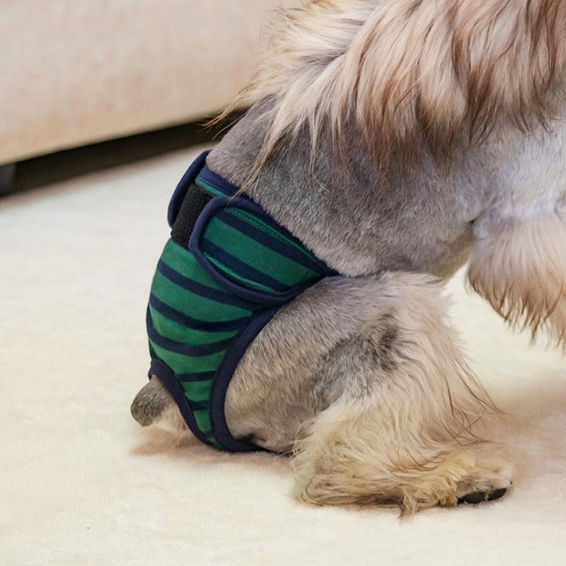 Soft Period Pants Pantie Soft Nappies Suspender for Girls Dog Reusable Doggies Period Diaper Incontinence