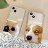Cat and Dog Phone Case For Couples Besties iPhone 16 E 15 14 13 12 11 Pro Max Plus Mini X XS XR SE 2020 2022 Transparent