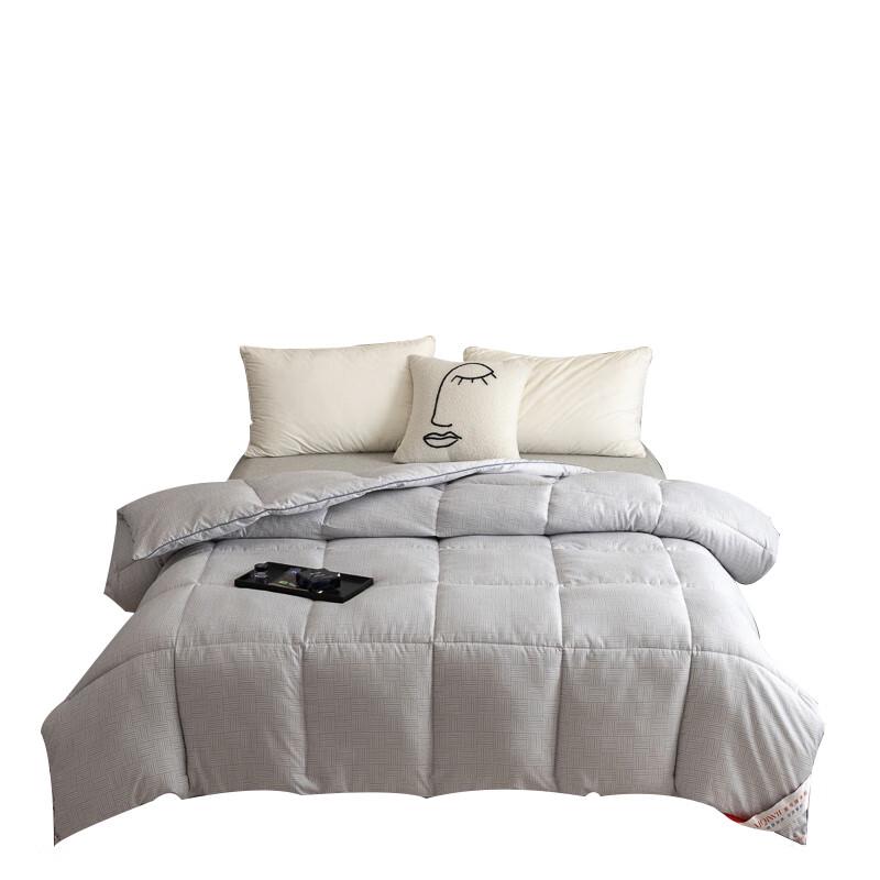 

AIQIWU B2405 Duvet Quilt