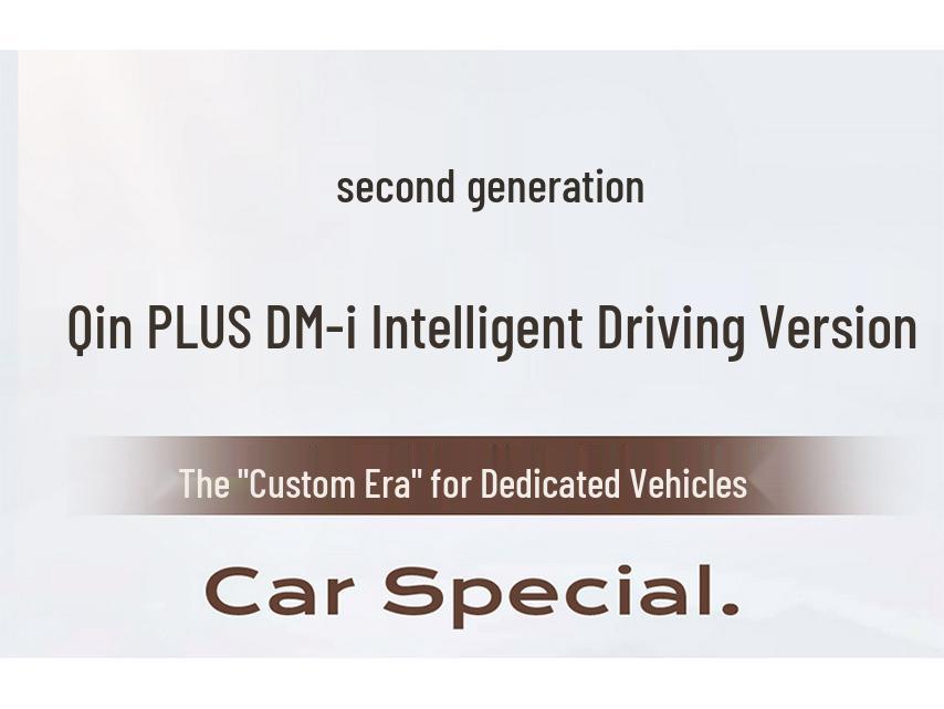 Qin PLUS 25 Smart Driving Seat Cushion & Cover - All-Season Breathable Leather