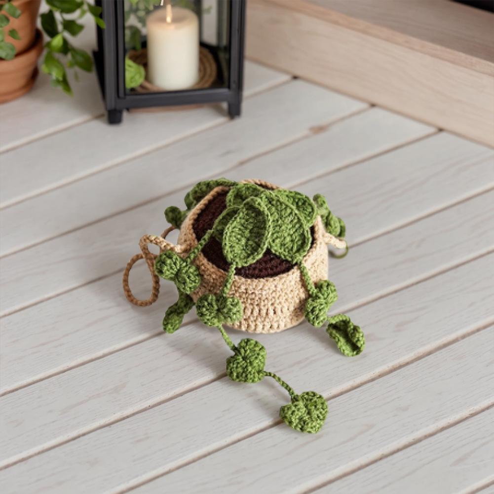 4Pcs Potted Plants Crochet Starter Kit DIY Knitting Kit with Step-by-Step Video Tutorials Crochet Set for Beginners Adults