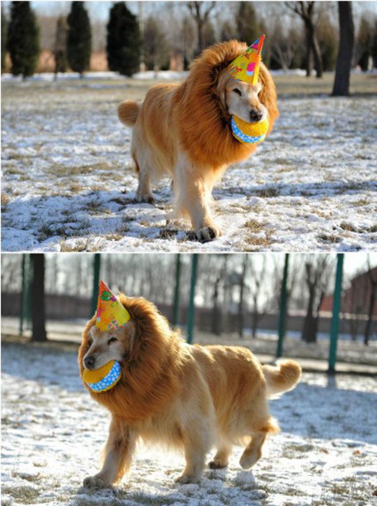 Lion Mane Halloween Wig for Dogs - Pet Headgear Costume Accessory