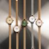 Daniel Wellington Watch Quartz Movement Stainless Steel Strap 19MM White Dial Women's Watch Starlight Silver Round Candy DW00100746