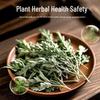Mugwort Scent Stick for Outdoors: Camping, Fishing, Garden, and More (Not for Mosquito Repellent)