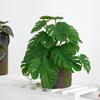 Artificial Monstera Deliciosa Green Plant For Home Decor And Photography Props