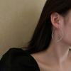 Silver Needle Diamond Earrings Simple Internet Celebrity Earrings Personalized Geometric Earrings