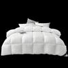 LOUIS.KELLOG Winter Warm Microfiber Duvet