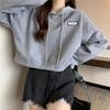 Outono/inverno Feminino Moletom Com Capuz Walf Checks Design Solto Corte Top Jaqueta Estilo Estudante Design Sensibilidade