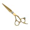 6.0" Golden Hairdressing Scissors Set: Ring Scissors with Diamond Screw