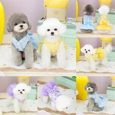 Gaze Rock Hundekleidung Zwergspitz Hund Rock Prinzessin Bunt Teddy Bichon
