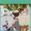 Adorable 2023 Christmas Dog Series Acrylic Christmas Tree Ornament For Car Decoration