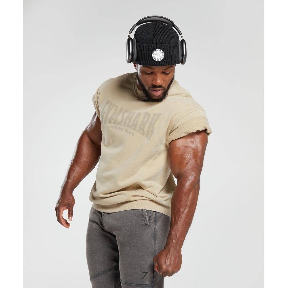Gymshark Heritage Washed Short Sleeve Crew Desert Beige A4a8d Nb1v