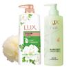 Artemisia Camellia Body Wash & Freesia Shampoo Set