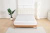 Waterproof Pet Mattress Cover: Dustproof, Anti-Slip, Anti-Urine Protective Sofa Pad for Cats and Dogs