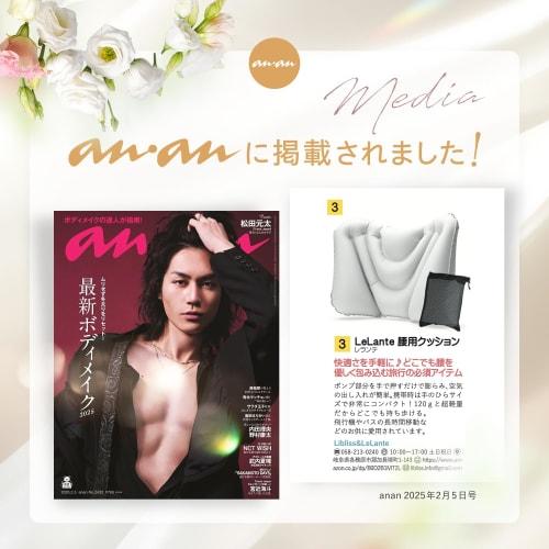 LeLante Back Pain Relief Cushion, Lumbar Pillow, Ideal for Airplanes, International Travel, Night Buses, Shinkansen Trains, and Cars (Light Gray)