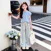 Summer Girls Korean Style Outfit Polo Short Sleeve T-Shirt & Plaid Pants 2PCS Sets Children's Breathable Fashion Clothing