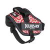 IDC Power Harness, Size: XS/Mini, Arabesque Red