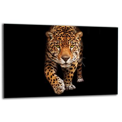 GLASS PROTECTIVE PLATE FOR STOVE 80x52 CAT
