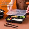 ZISIZ Disposable Lunch Box with Lid