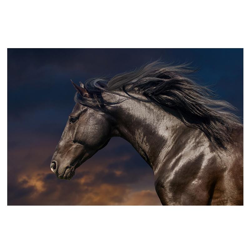 Vahşi At Koşu Tuval Boyama Modern Hayvan Steed Çerçevesiz Duvar Sanatı Baskılar Yapıt Resimleri Ev Dekorasyon Için Hediye