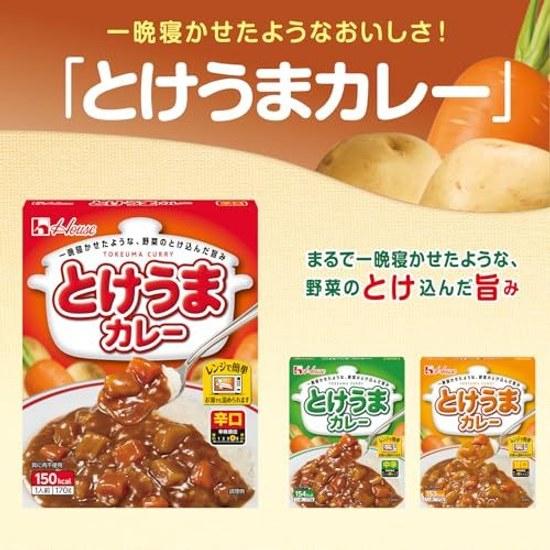 House Tokeuma Curry Spicy 170g 10 Pieces Microwave Compatible Retort Food Emergency