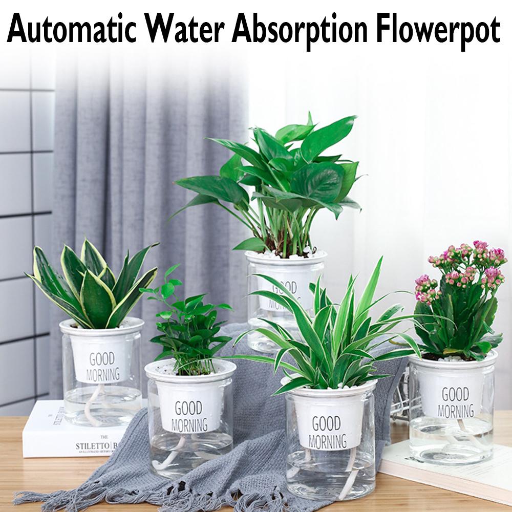 

Милый прозрачный круглый автоматический цветочный горшок с водопоглощением, гидропонный самополивающийся цветочный горшок S-flat bottom