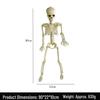 Halloween Skeleton Decoration: 90cm Human Skull Skeleton Ornament for Parties & Hanging Decor
