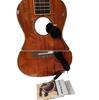 Clip-On Pickup for Acoustic Guitar, Ukulele, and Violin