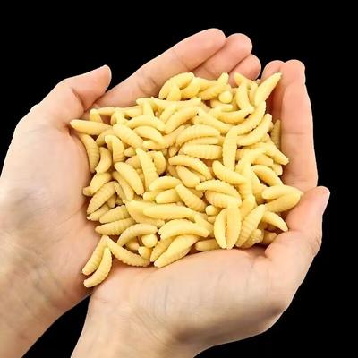 100/50/20pcs Simulation Maggot Fishing Lures Artificial Bionic Soft Worm Bait Fishing Tackle