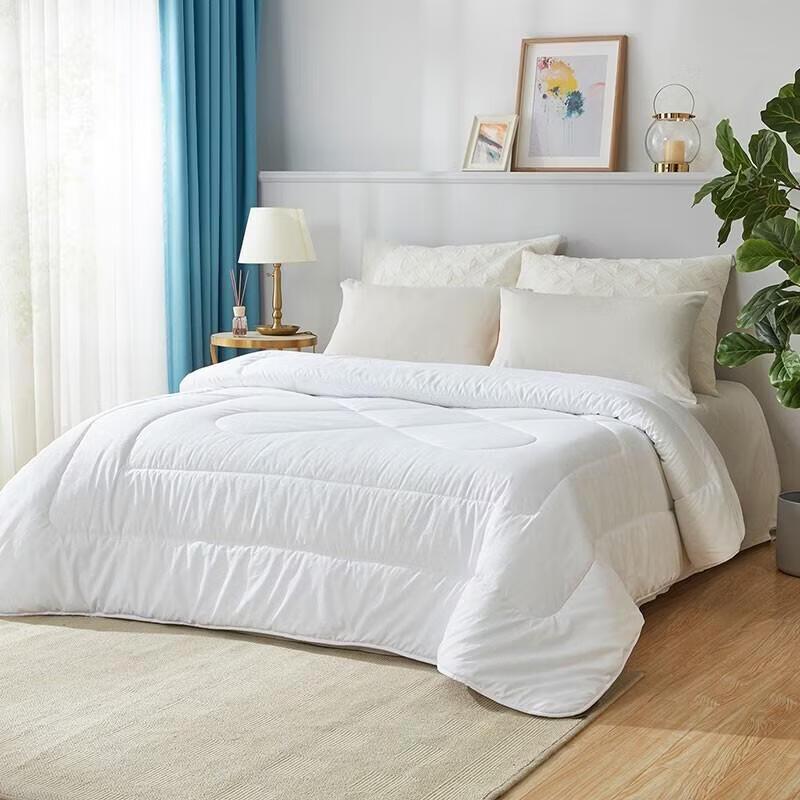 Luolai Tussah Silk All-Season Quilt