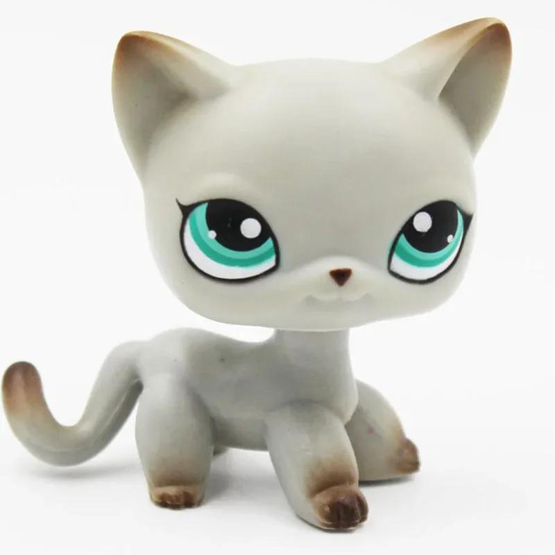 Rare Littlest Pet Shop Lps Toy Toy Mini Stands Short Hair Kitten Old Figures Collection Al Bobble Head Toy