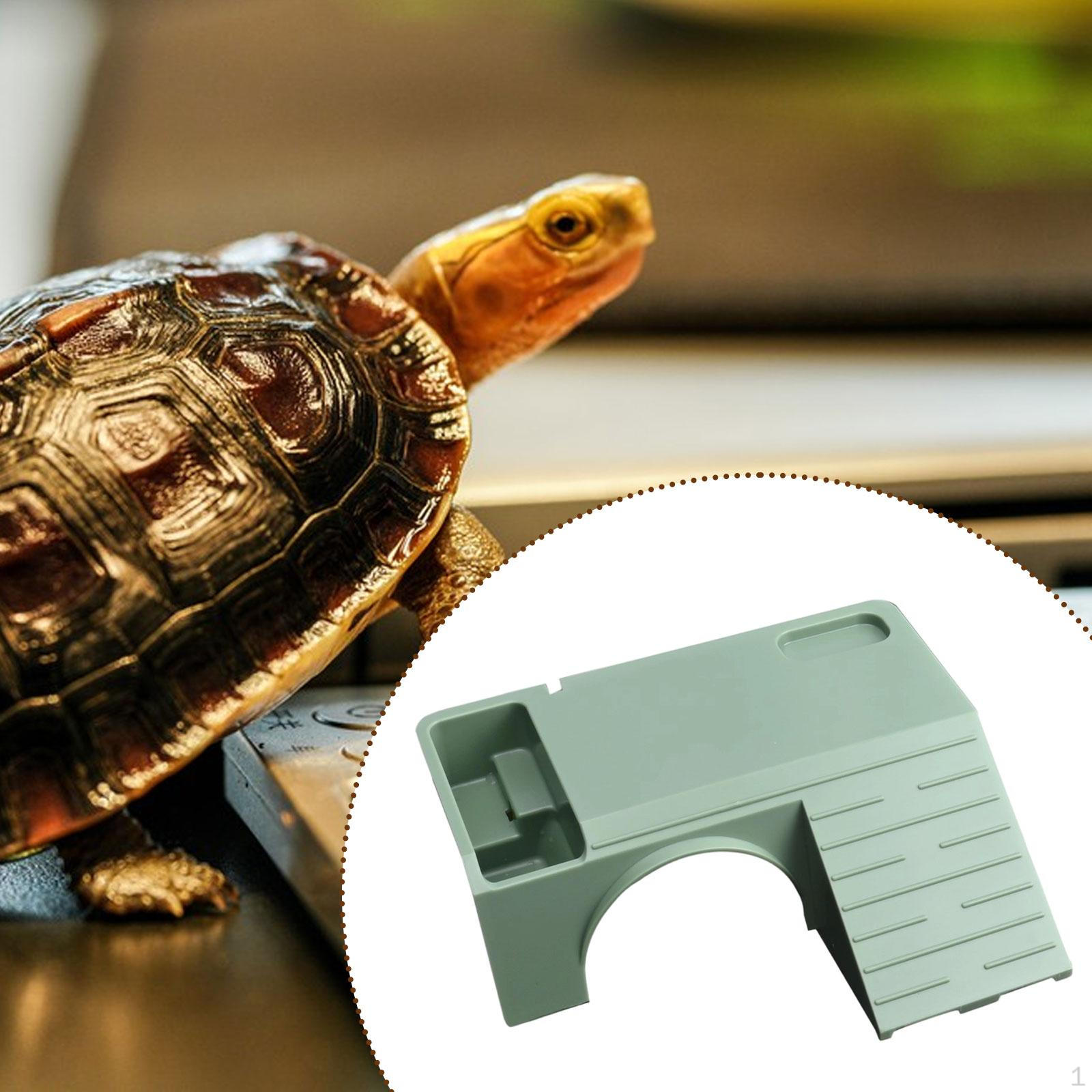 

Turtle Basking Reptile Area Climbing Ramp Tortoise Resting Terrace for Pet Semi Aquatic зелёный