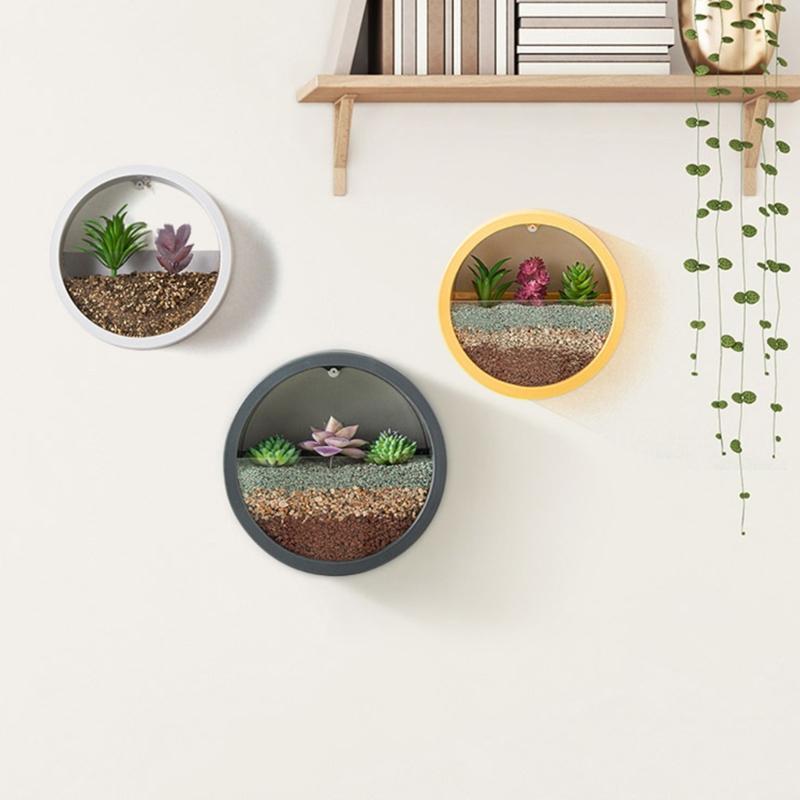 Wall Mounted Plant Hanging Container Easy No Tool Setups Ideal For Green Decoration Vertical Gardening In Compact Area