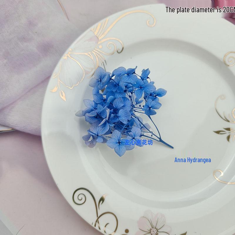 Blue Series Dried Flower DIY Kit: Hydrangea, Thousand-Layer Gold, Eucalyptus Leaf Souvenir Decoration