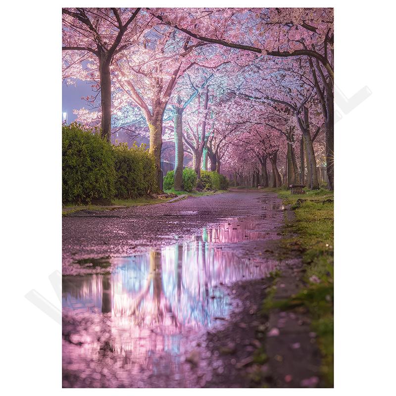 Diamond Art Painting Kits Embroidery Full Crystal Mosaic 5D Diy Diamond Paintings Kits New 2025 Accessories 30x40 Cm Wall Art