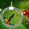 Puntos Chew Play Toy Pet Bird Parrot Cotton Rope Circle Ring Stand Hanging Swing Cage