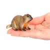 PVC Wild Animal Figurine Marmot Plastic Groundhog Ornament Realistic Animal Ornament  Office
