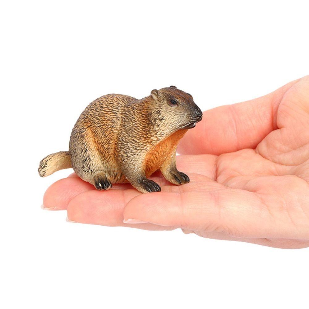 PVC Wild Animal Figurine Marmot Plastic Groundhog Ornament Realistic Animal Ornament  Office