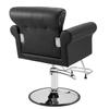 Salon Chair, Barber Chair for Hair Stylist, Styling Chair with Heavy Duty Hydraulic Pump, 360° Swivel Hair Salon Chair with Footrest for Beauty Spa