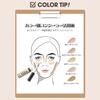 The Saem Japan Official Concealer Cover Perfection Chip Concealer 1.5 Natural Beige 0119 6.5g