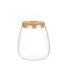 Mini Glass Flower Pot for Indoor Plants - Hydroponic Ornament with Moss Landscape