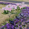 7 Heads Solar Flowers Garden Lights Solar Powered Waterproof LED Outdoor Flower Decor LED Lights Simulation Flower Lamp