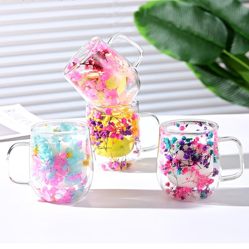 Double-Wall Dried Flower Glass Mug - Heat-Resistant Decorative Coffee/Tea Cup (Multi-Color Options)