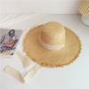Summer Wind Big Brim Raffia Straw Hat Women's Beach Hat Travel Seaside Vacation Sun Hat