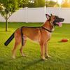 Durable Pet Tail Protector Dog Protector, Breathable Wrap, Adjustable Harness Bandage with Guard for Dogs Wound Injury Recovery Post Surgery Support
